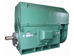 YRKK5001-8Y系列6KV高压电机