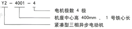 YR系列(H355-1000)高压YRKK5001-8三相异步电机西安西玛电机型号说明